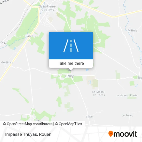 Impasse Thuyas map
