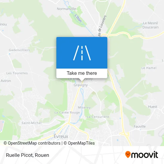 Ruelle Picot map