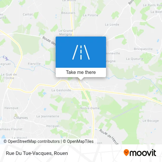 Rue Du Tue-Vacques map
