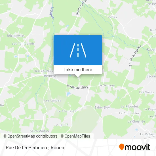 Rue De La Platinière map