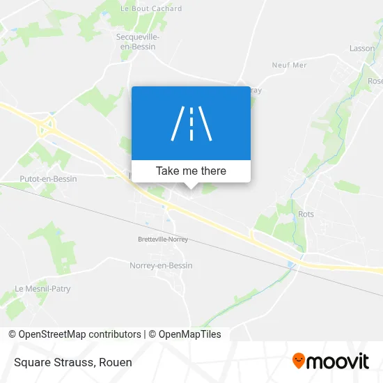 Square Strauss map