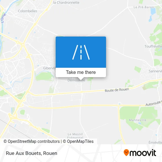 Rue Aux Bouets map