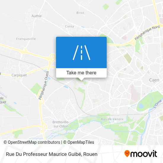 Rue Du Professeur Maurice Guibé map