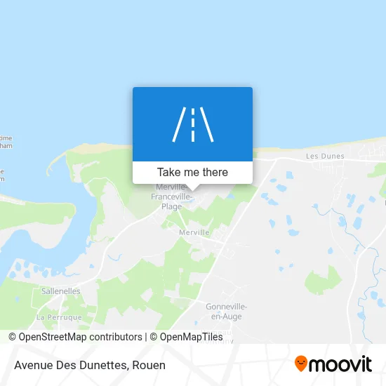 Avenue Des Dunettes map