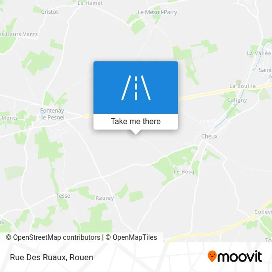 Rue Des Ruaux map