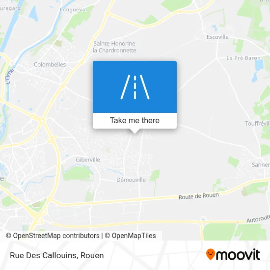 Rue Des Callouins map