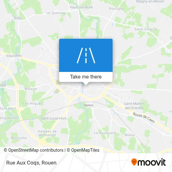 Rue Aux Coqs map