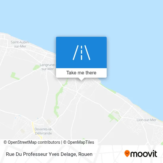 Rue Du Professeur Yves Delage map