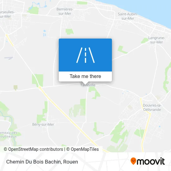 Chemin Du Bois Bachin map