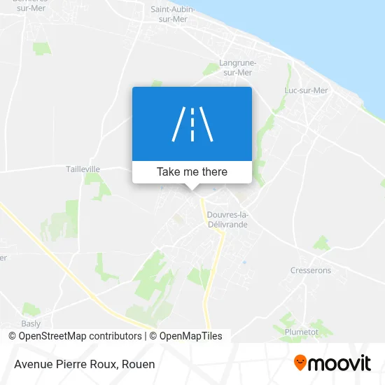 Avenue Pierre Roux map