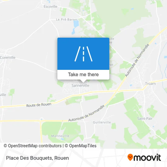 Place Des Bouquets map