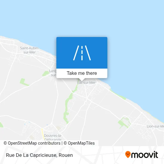 Mapa Rue De La Capricieuse