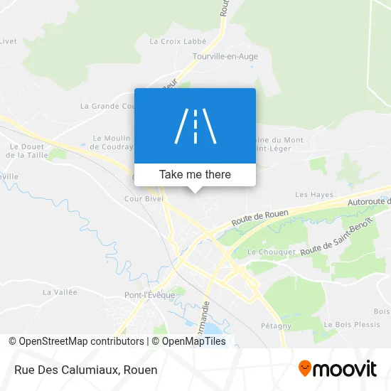 Rue Des Calumiaux map