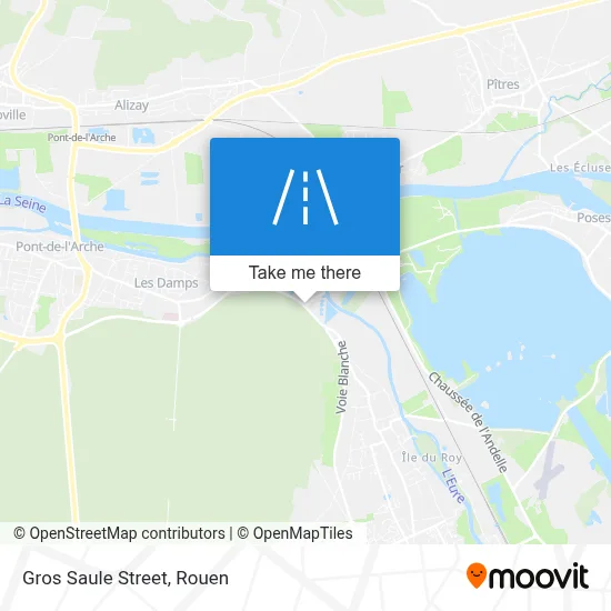 Rue Du Gros Saule map