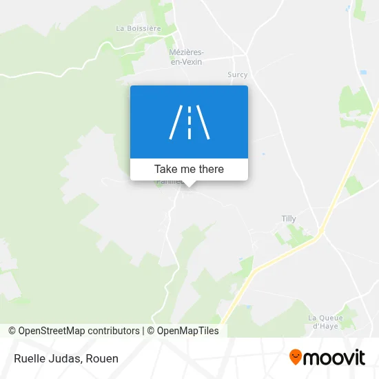 Ruelle Judas map