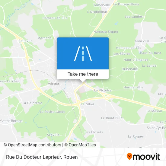 Mapa Rue Du Docteur Leprieur