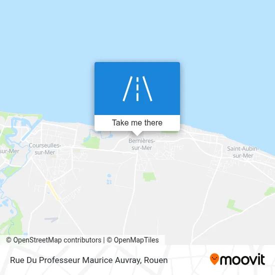 Rue Du Professeur Maurice Auvray map