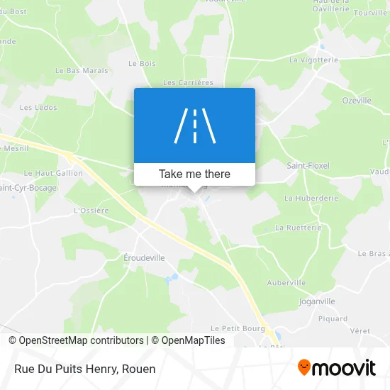 Rue Du Puits Henry map
