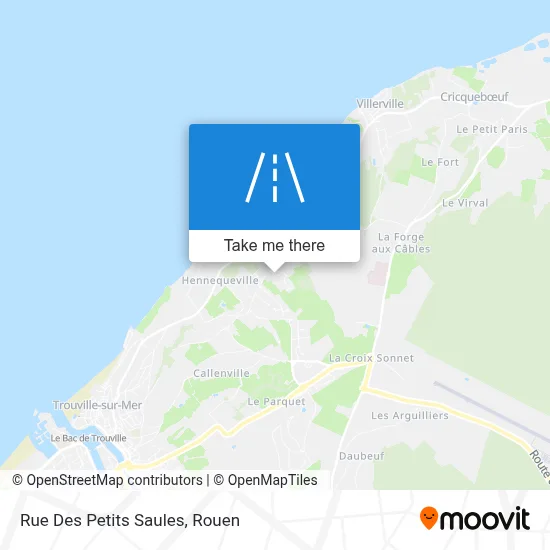 Rue Des Petits Saules map