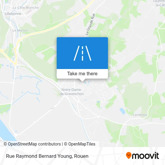 Rue Raymond Bernard Young map