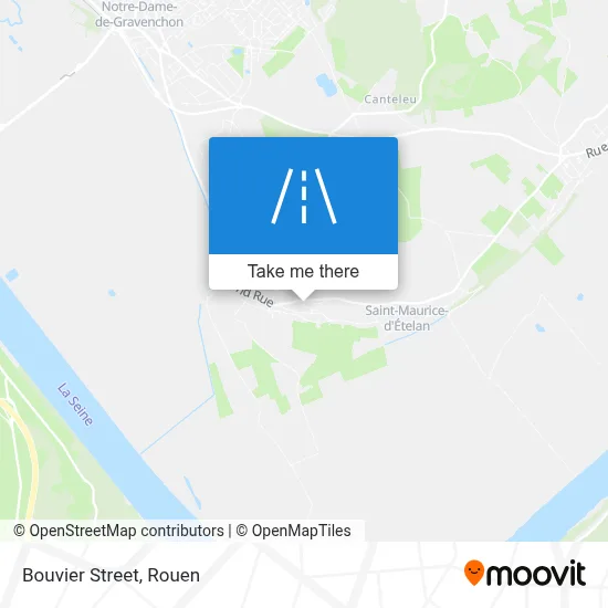 Rue Du Bouvier map