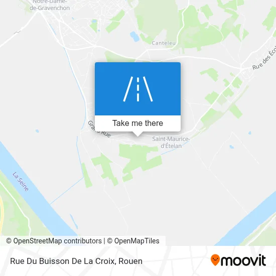Rue Du Buisson De La Croix map