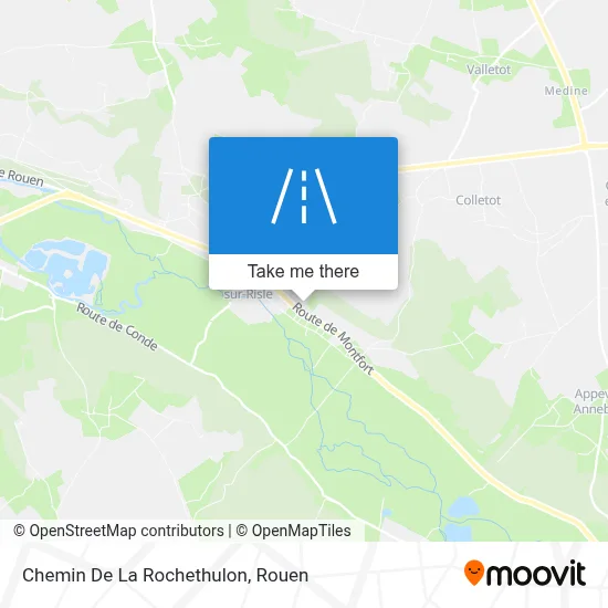 Chemin De La Rochethulon map