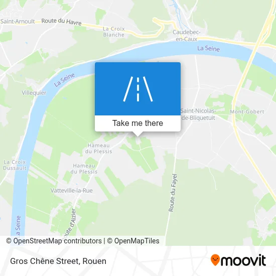 Rue Du Gros Chêne map