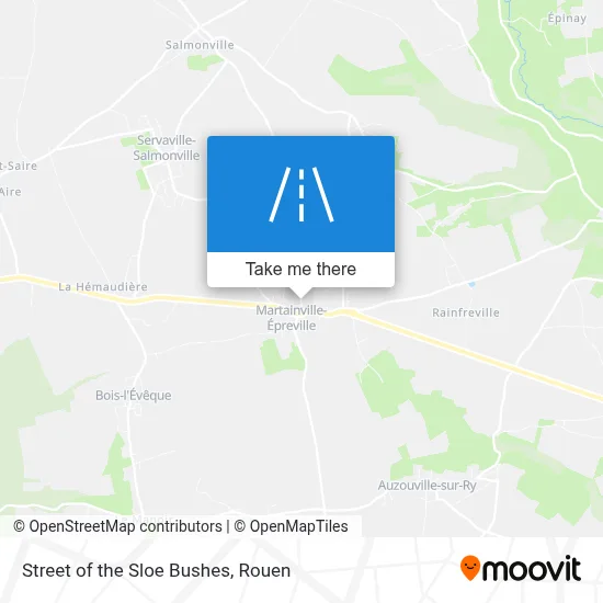 Mapa Rue Des Prunelliers