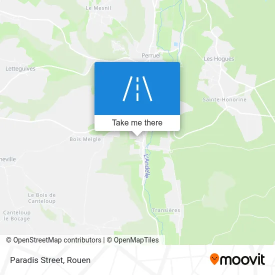 Rue Du Paradis map