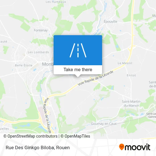 Rue Des Ginkgo Biloba map