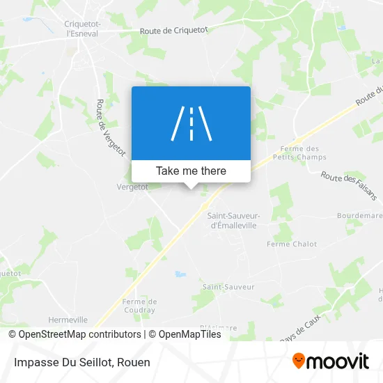 Impasse Du Seillot map