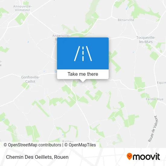Chemin Des Oeillets map
