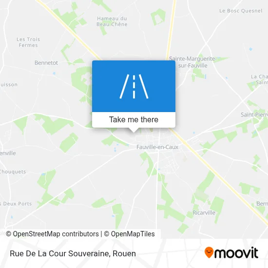 Rue De La Cour Souveraine map