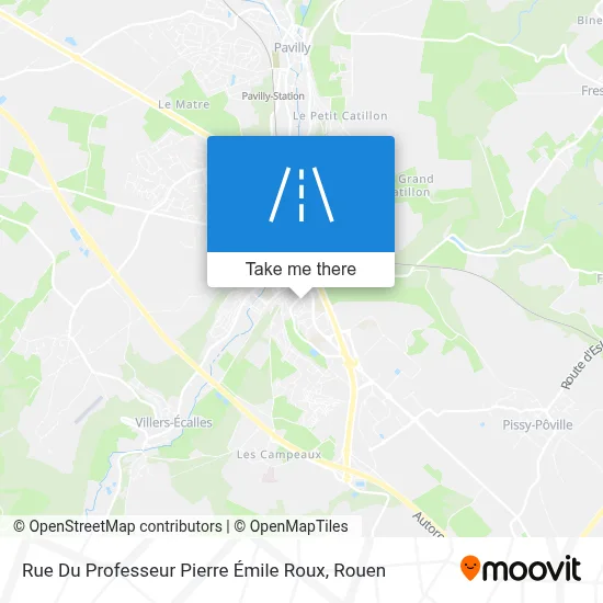 Rue Du Professeur Pierre Émile Roux map