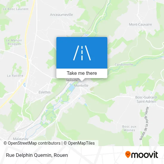 Rue Delphin Quemin map