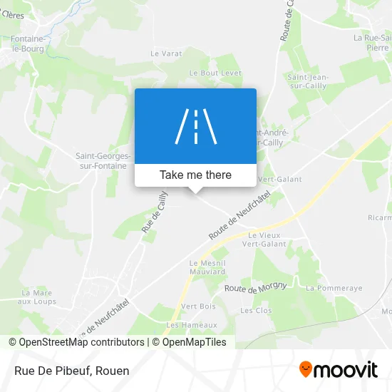 Rue De Pibeuf map
