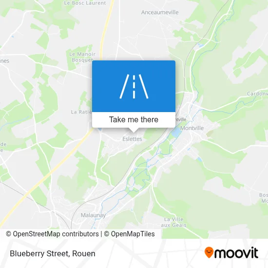 Rue Des Bleuets map