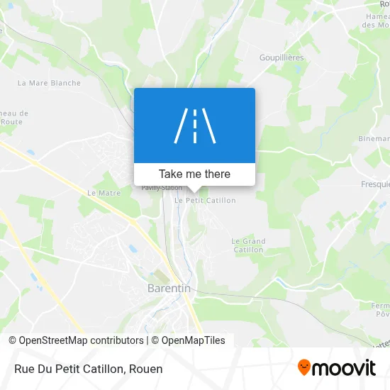 Rue Du Petit Catillon map