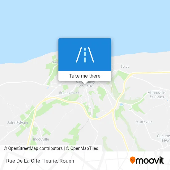 Rue De La Cité Fleurie map