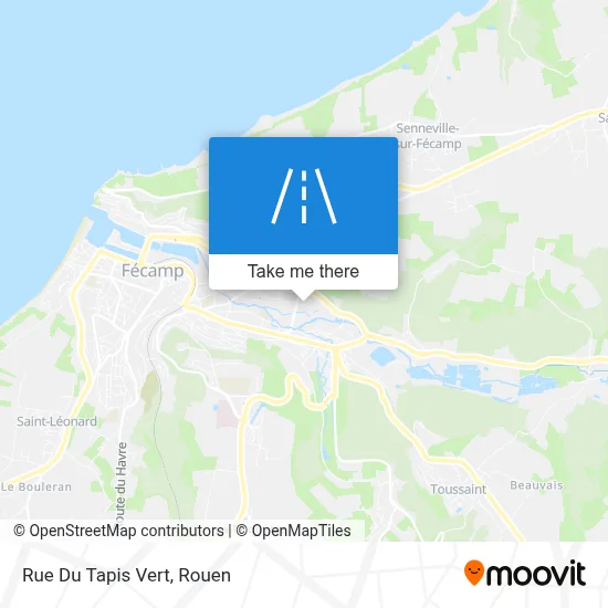 Rue Du Tapis Vert map