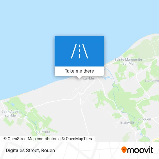 Rue Des Digitales map