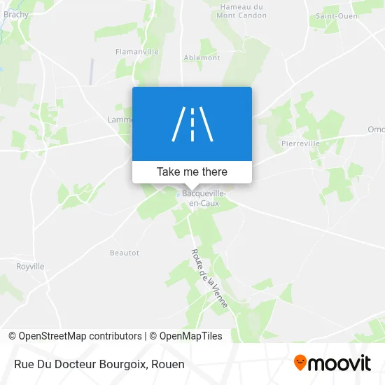 Mapa Rue Du Docteur Bourgoix