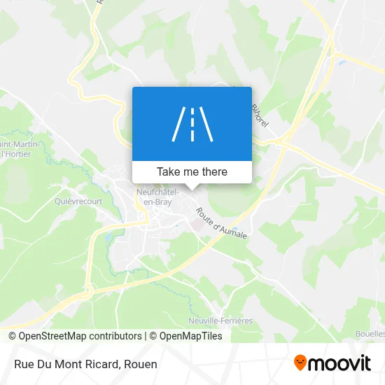 Mapa Rue Du Mont Ricard