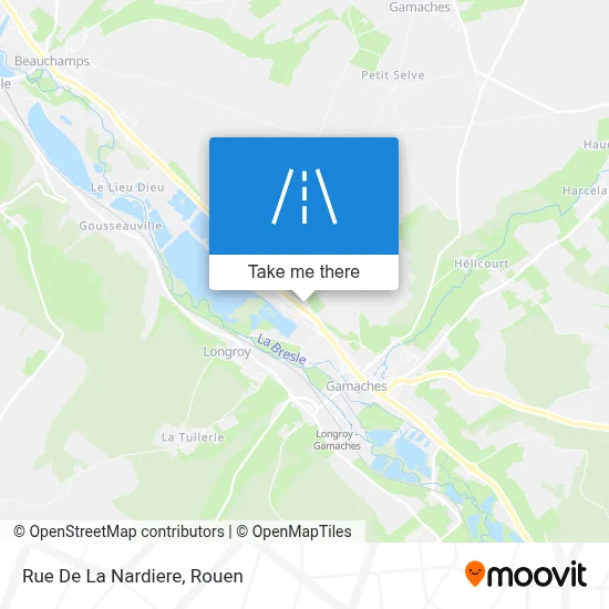 Rue De La Nardiere map