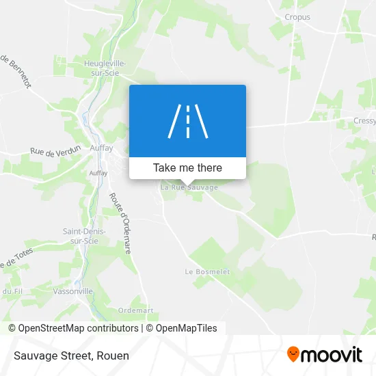 Rue Sauvage map