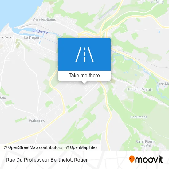 Rue Du Professeur Berthelot map