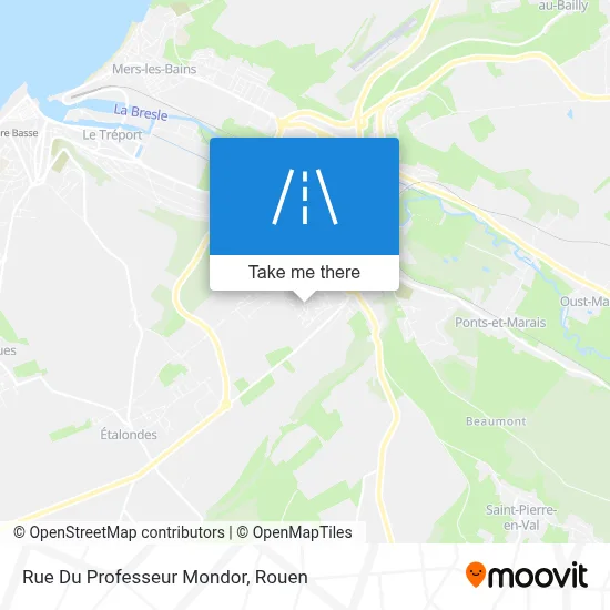 Rue Du Professeur Mondor map