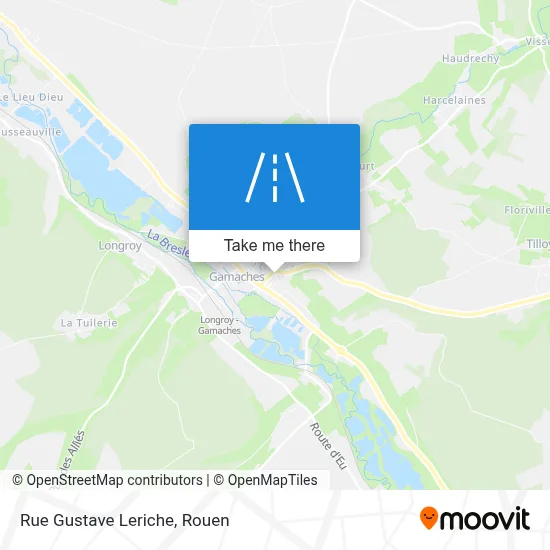Rue Gustave Leriche map