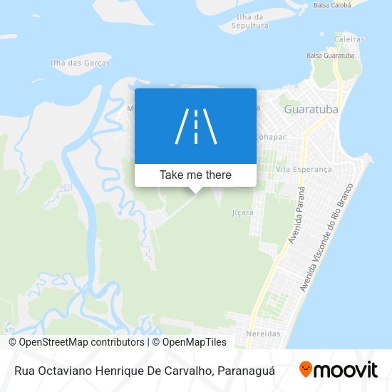Rua Octaviano Henrique De Carvalho map